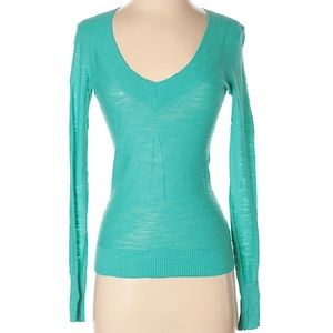 NWT Express Lightweight V Neck Sweater